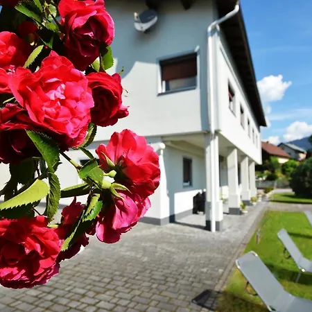 Alpenblick - Modernes Und Grosszuegiges *